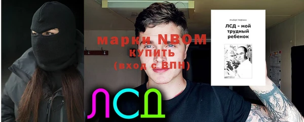 mdpv Елизово