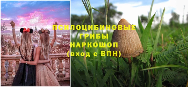 mdpv Елизово