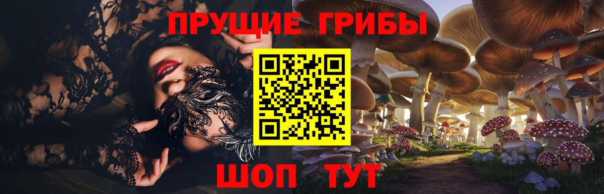 Мытищи  Псилоцибиновые грибы мицелий  Вход с VPN 