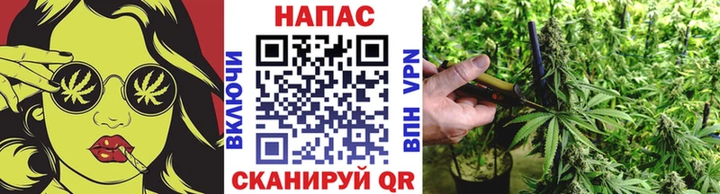 Шишки марихуана тримм  KRAKEN маркетплейс  Мытищи 